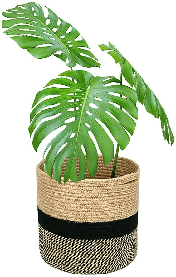Decorative indoor flower pots for your home