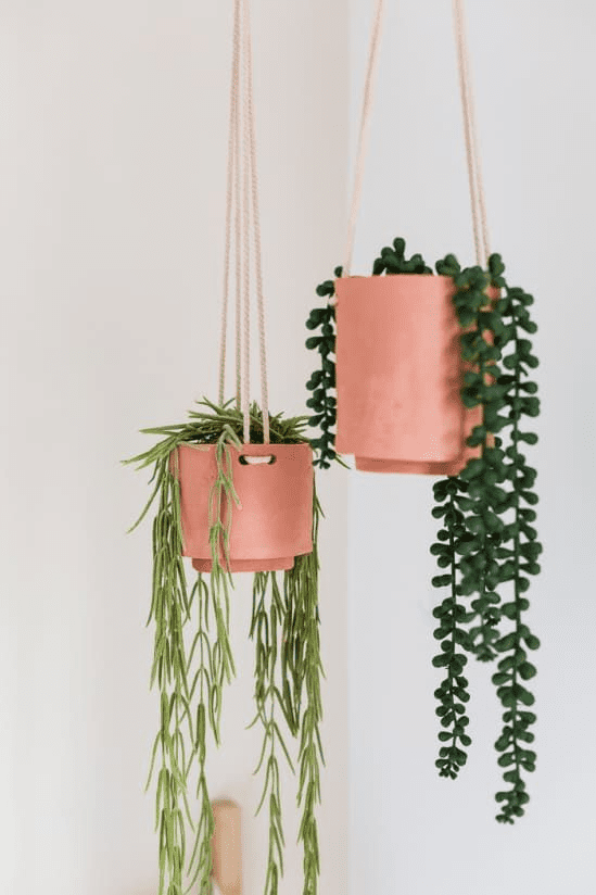 Decorative indoor flower pots for your home