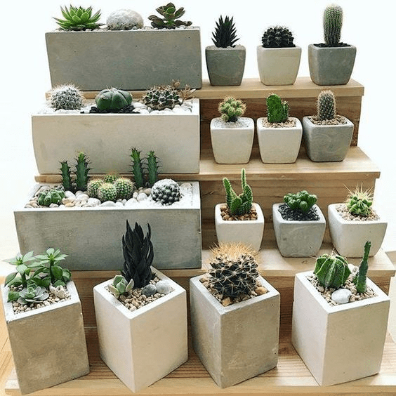 Decorative indoor flower pots for your home