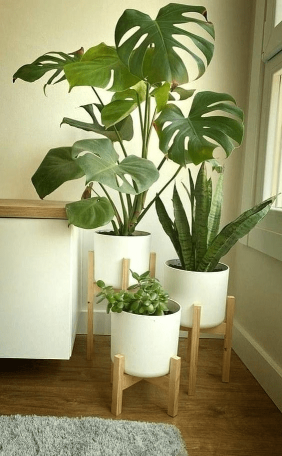 Decorative indoor flower pots for your home