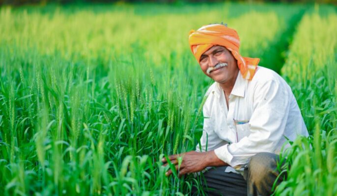 Pradhan Mantri Kisan Samman Nidhi Karnataka: Know how to apply and eligibility