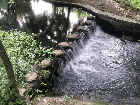 What makes Osho Garden Pune a landmark? 
