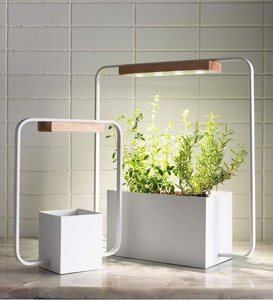 Illuminate your indoor garden with grow lights