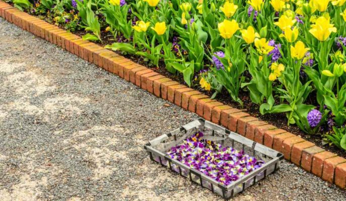 How to install brick edging?