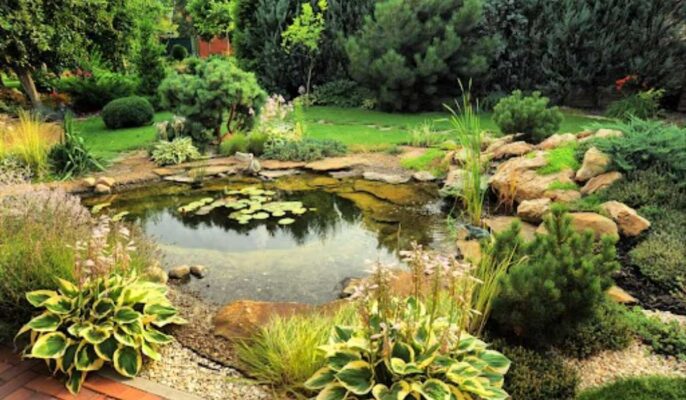 How to build a pond