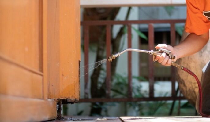 Top pest control services in Surat