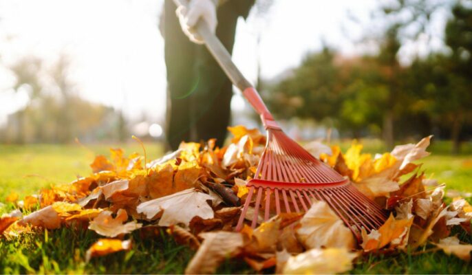 How to rake leaves?
