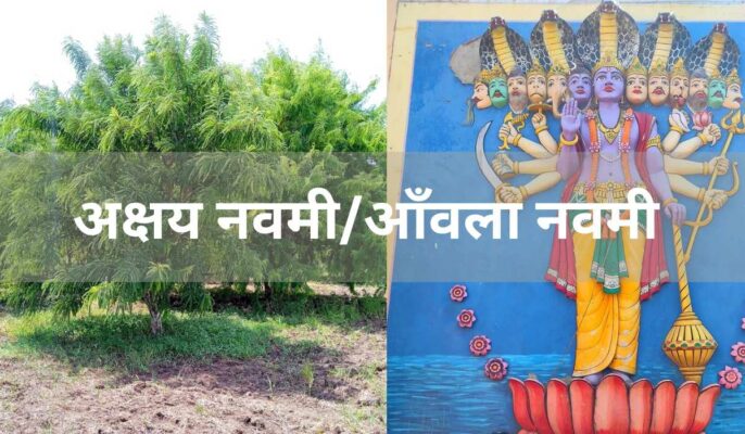 akshay-amla-navami-2023-date-muhurat-puja-vidhi-katha