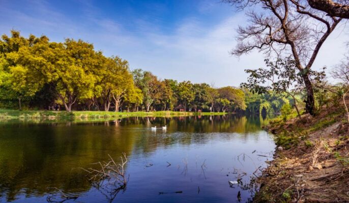Circle rate in Delhi’s Vasant Kunj