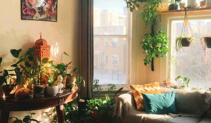 boho decor