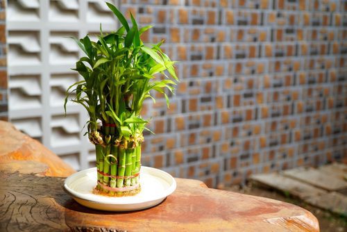 feng-shui-symbols-for-home