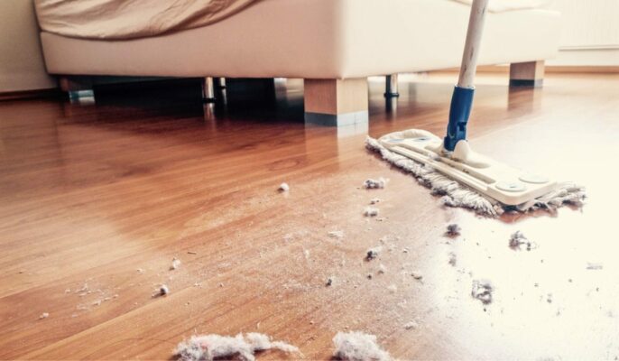 avoid dust in home