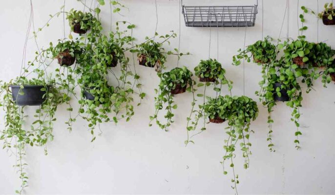 artificial plants for home decor