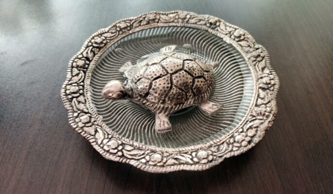 Vastu for tortoise: Direction for placement