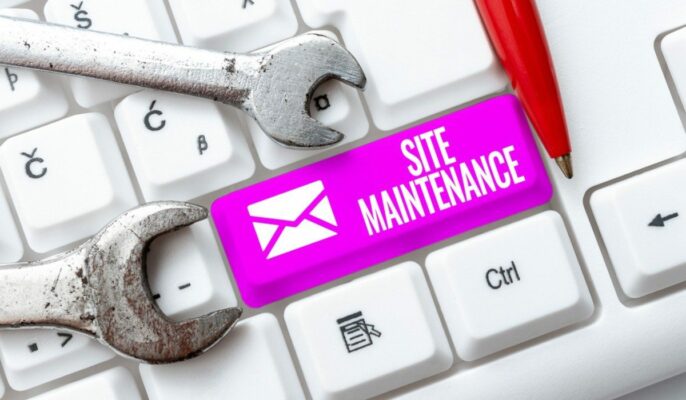 No access to Assam land records online from March 5 to March 20