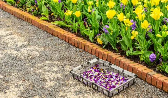 Best garden edging ideas to try
