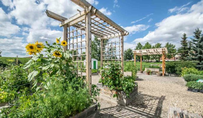 Trellis for garden decor