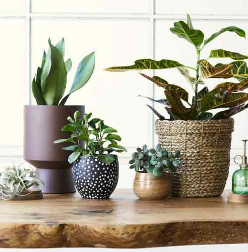 Top 5 tips to make the best DIY home decor