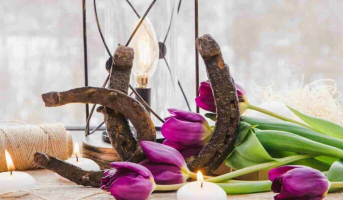 Vastu for beginners: Creating harmony in your home