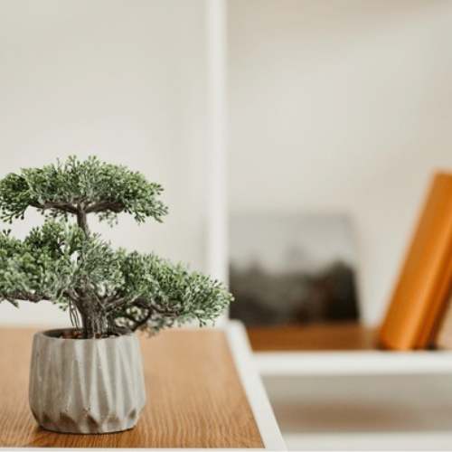 Bringing the Northeast culture to your home decor