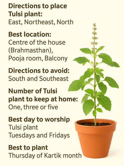 Tulsi plant Vastu direction and tips