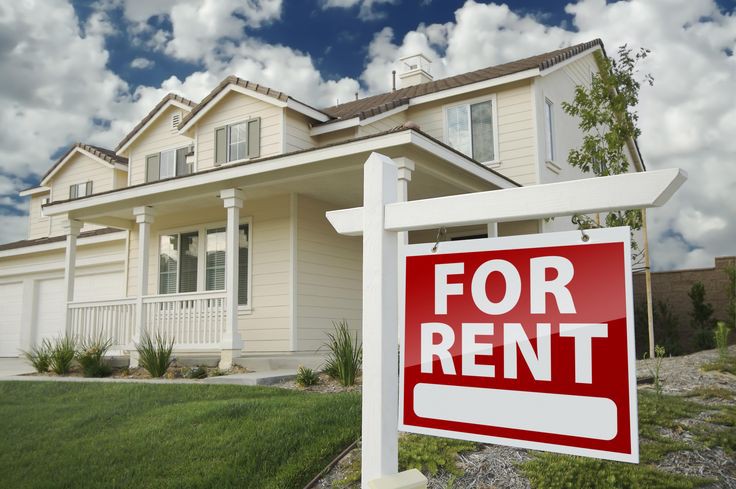Key things to check when viewing a rental property