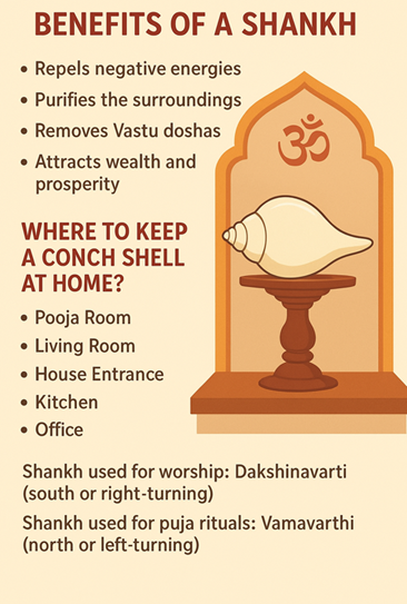 Types of shankh and Vastu tips for its placement