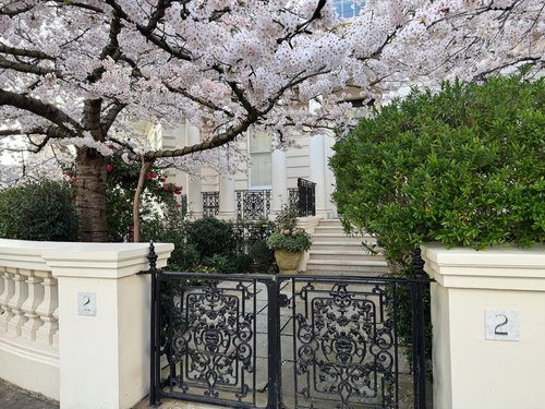 Over 20 main gate colour combinations as per Vastu