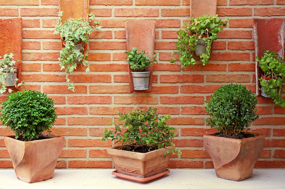 Top 45 front wall design in Indian house