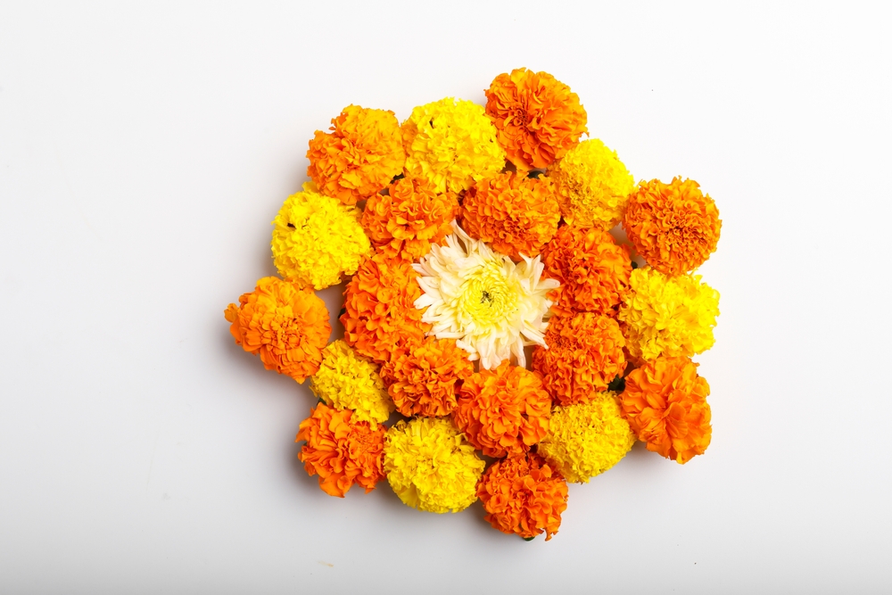 30 classy and simple Onam Pookalam designs for home