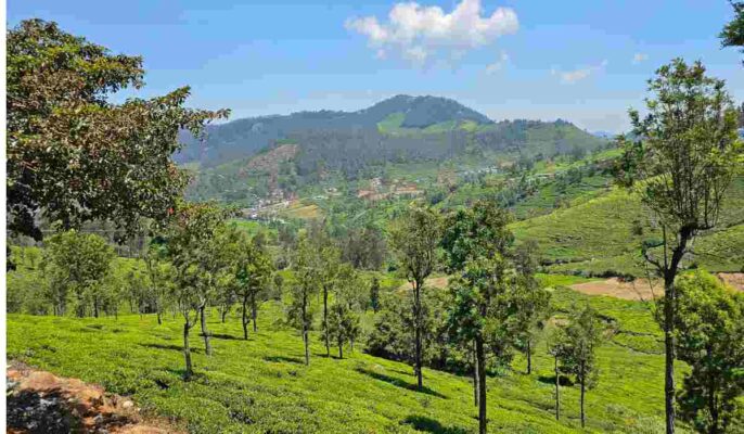 Non-farmers can buy agricultural land in Tamil Nadu if they fulfil the eligibility criteria, land ceiling limit and other regulations by the state government.